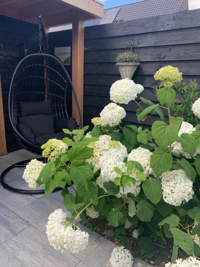 Villa Logies Zen & Zilt Veere Esterno foto